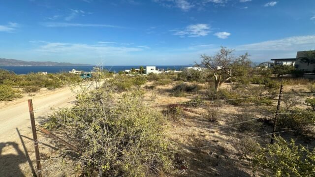 20251203200323730078000000-o