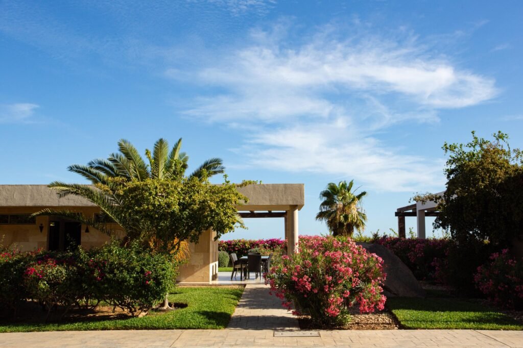 20251208142525282480000000-o