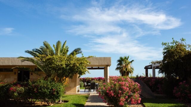 20251208142525282480000000-o