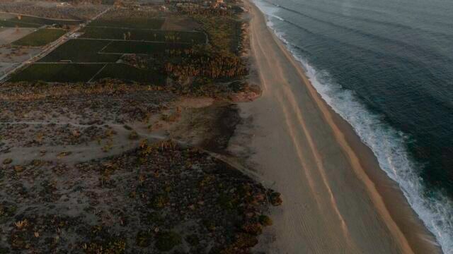 EL DESTINO / PREVIEWS MAYO 2025