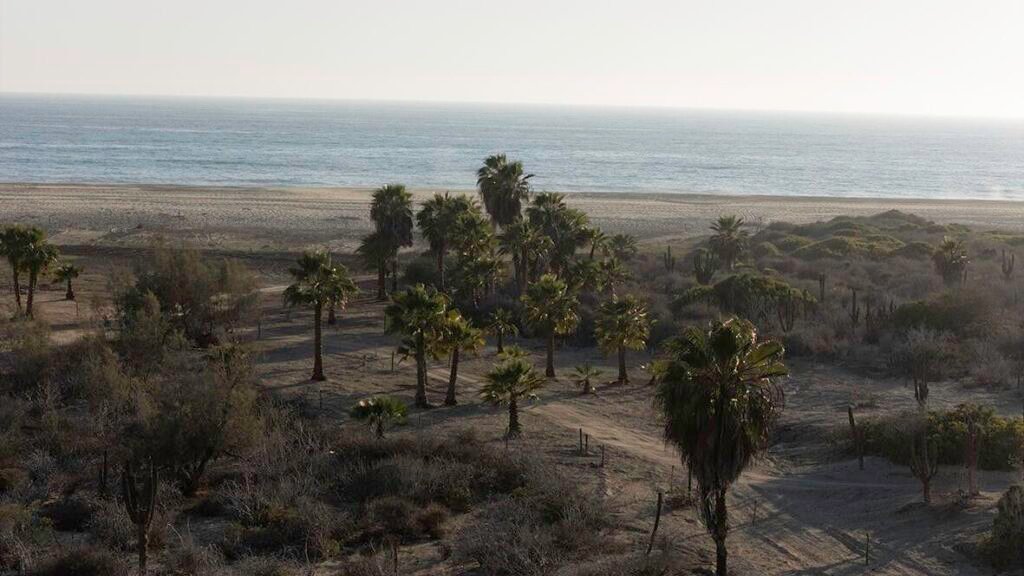 EL DESTINO / PREVIEWS MAYO 2025