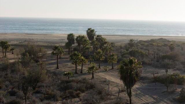 EL DESTINO / PREVIEWS MAYO 2025