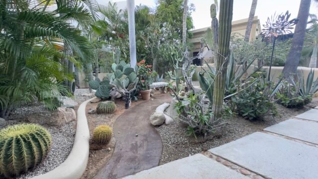 79EC1ED8-4C39-495C-A385-8F4E3E05C5E8