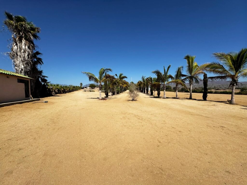 20250804164023464719000000-o