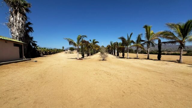 20250804164023464719000000-o