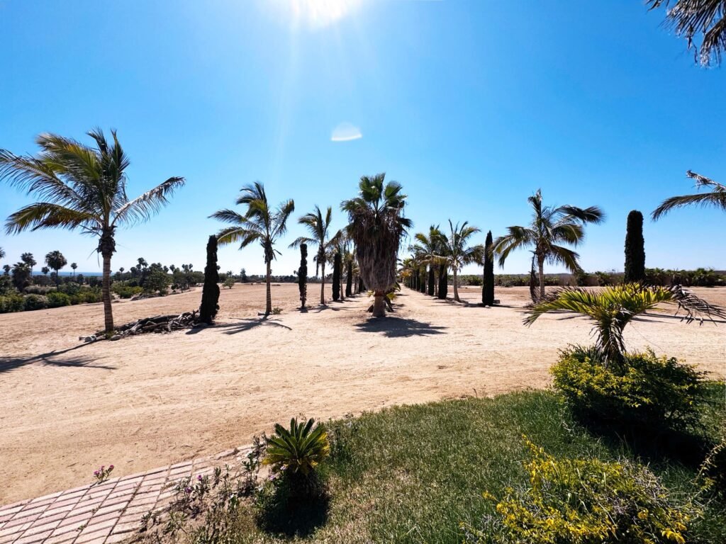 20250804164104786241000000-o