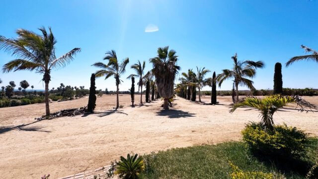 20250804164104786241000000-o