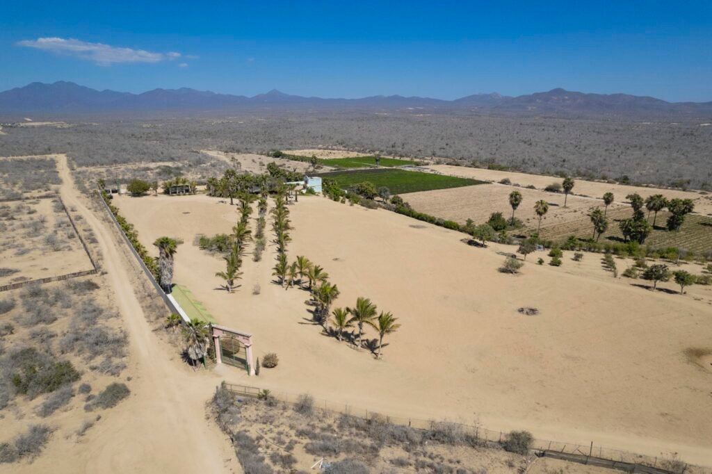 20250804170929467812000000-o