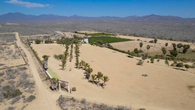 20250804170929467812000000-o