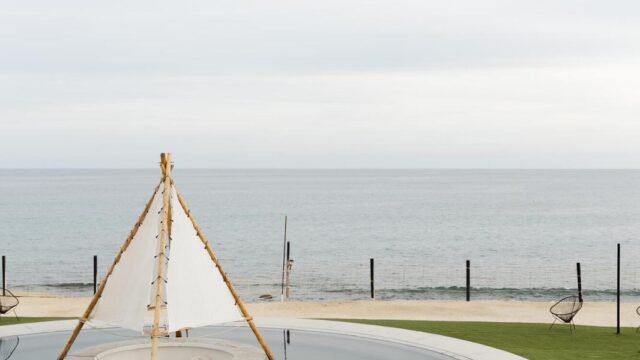 24-44204